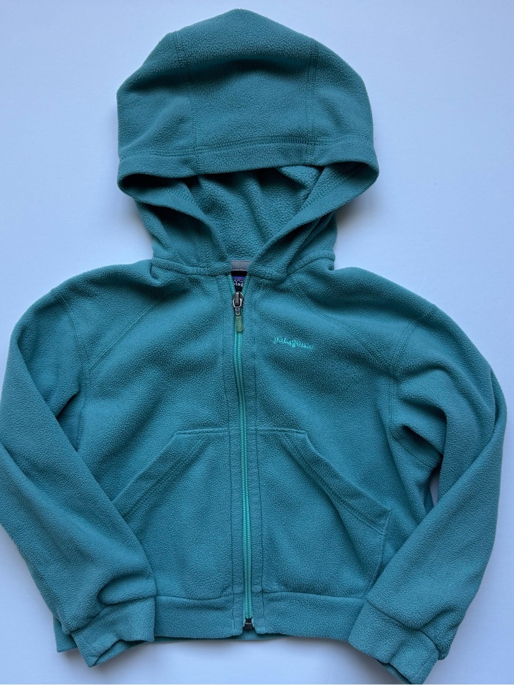 Outdoor Fall Layering Hiking School Cozy Patagonia Hooded Full Zip Fleece